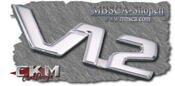 V12 Emblem