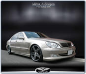 1a.Wald kit EXECUTIVE LINE W221 look.