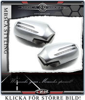 Mirror Cover inc Clear ARROW blinkers 97-04
